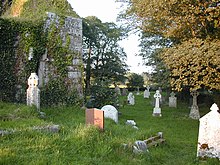 Ireland's many graveyards are important floristic sanctuaries. Irish graveyard.jpg