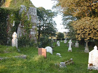 Ireland's many graveyards are important floristic sanctuaries. Irish graveyard.jpg