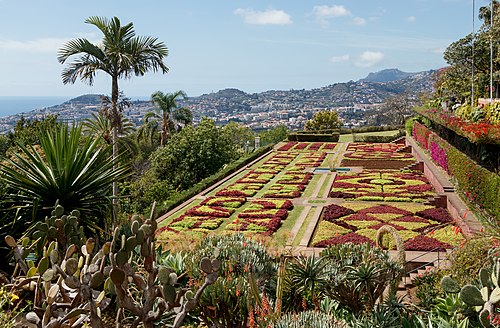 Madeira Botanical Garden things to do in Santana