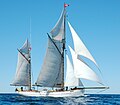 Jens Krogh full sails profile.jpg