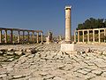 Il foro ovale ed il cardo massimo