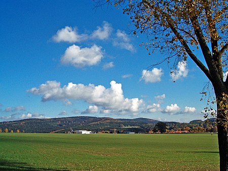 Kälberstein 1