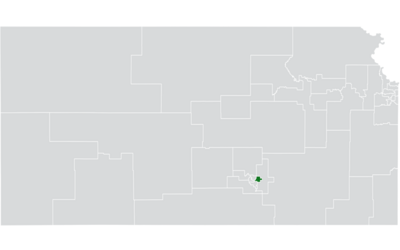 Kansas Senate District 30 (2010) .png