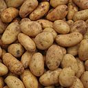 Kartoffeln Markt