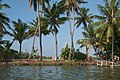 * Nomination Kerala backwaters, palm trees in the lagoon, Alappuzha, South India. --Argenberg 16:10, 31 October 2022 (UTC) * Promotion  Support Good quality. --Velvet 08:29, 1 November 2022 (UTC)