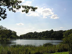 پارک Kissena pond.jpg