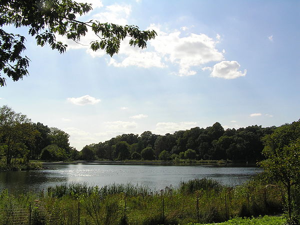 A view from the eastern end of the park overlooking the largest aspect of the park, the pond.