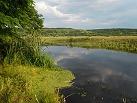 Kodyma (river)