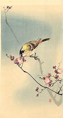 Koson - songbird-on-plum-blossom.jpg