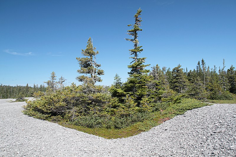 File:Krummholz Quarry island Mingan.jpg