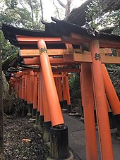 Ein umgestürzter Baum, der auf einer Reihe traditioneller Holztore an einem Shinto-Schrein ruht;  eines der Tore ist in der Nähe seines Sockels abgebrochen.