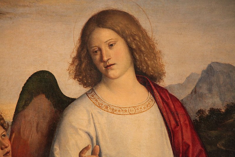File:L'arcangelo Raffaele di Giambattista Cima da Conegliano.JPG