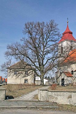 Památná lípa malolistá u kostela Svatého Prokopa v Žiželicích