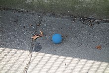A small handball ball in Williamsburg, Brooklyn, New York City LaGuardia Playground td (2019-08-15) 26 - Handball Courts.jpg