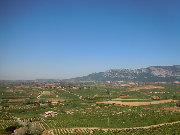 Rioja vineyards near the Ebro