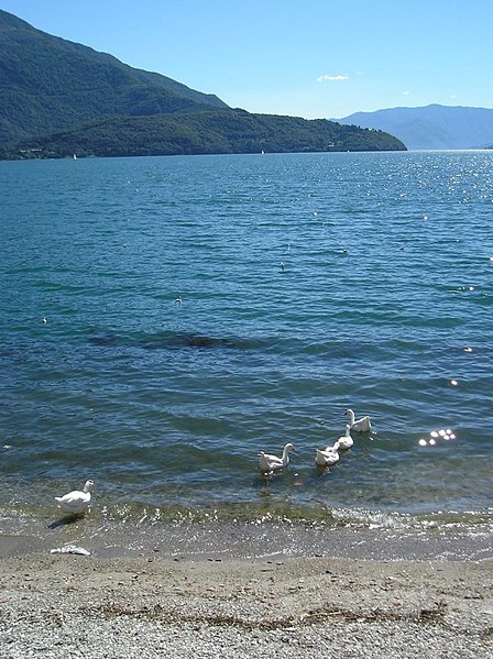 File:Lac de Come Nord.jpg