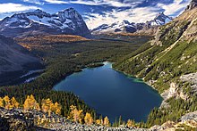 Odaray Mountain and Lake O'Hara