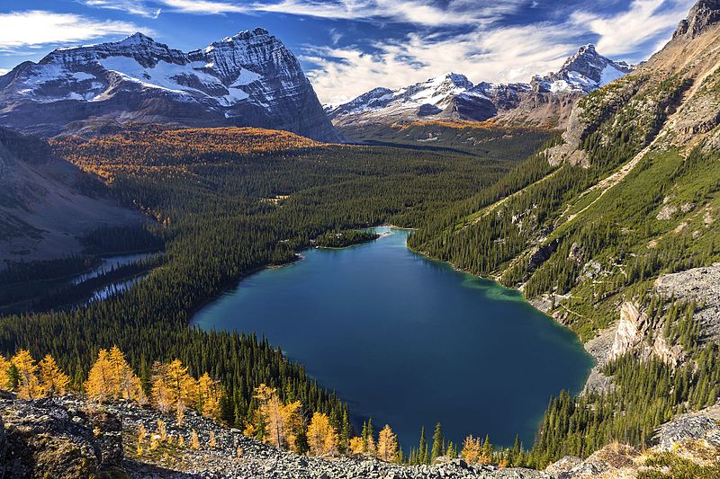 File:Lake O'Hara Yoho National Park.jpg