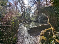 Lake at Ninesprings Country Park.jpg