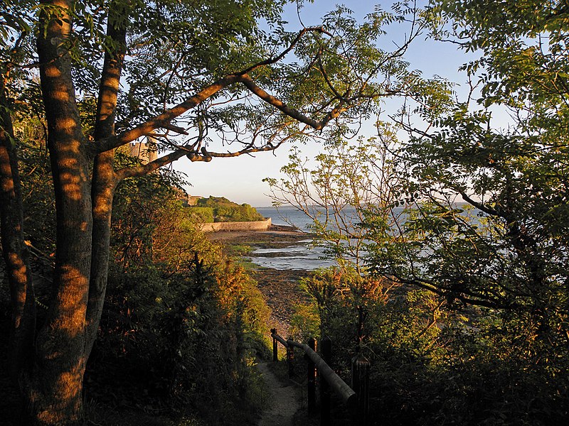 File:Le long des fortifications de La Hougue à Saint-Vaast - panoramio (1).jpg