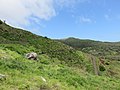Levada do Caniçal, Parque Natural da Madeira - 2018-04-08 - IMG 3483.jpg