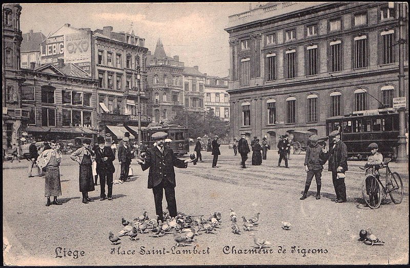 File:Liège - Charmeur de pigeons Place Saint-Lambert.jpg