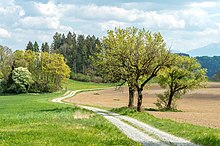 Un camino serpentea entre un campo cultivado, un campo arado, algunos árboles.