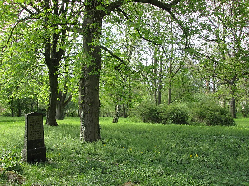 File:Lindener Bergfriedhof - Hannover-Linden Stadtfriedhof Am Lindener Berge - panoramio (13).jpg