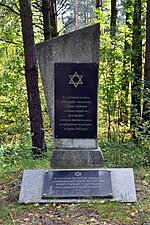 Liubeshiv Volynska-grave of Jews shot-details.jpg