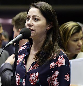 <span class="mw-page-title-main">Liziane Bayer</span> Brazilian politician