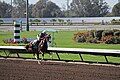 Los Alamitos Sept 2014 IMG 6801 (15317488892).jpg