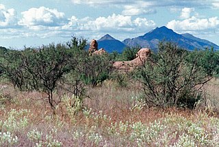 <span class="mw-page-title-main">Mission Los Santos Ángeles de Guevavi</span> Historic mission ruins in Arizona