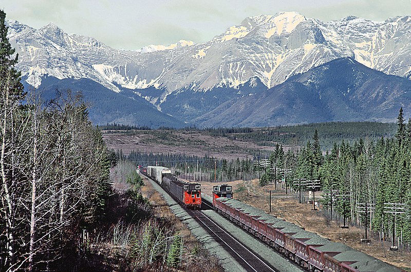 File:Lucky Puta Caught Two Meets at Entrance, Alberta - 5 photos (29853041986).jpg