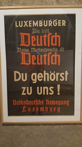 Propaganda of the Volksdeutsche Bewegung.