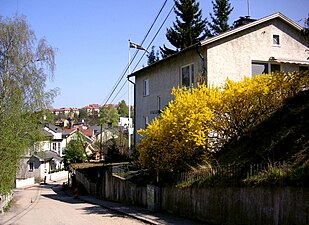 Bebyggelsen längs Pettersbergsvägen.