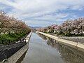 2024年4月18日 (木) 12:45時点における版のサムネイル