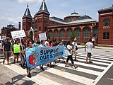 March For Public Education - Washington DC