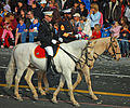 English: Palomino roan Deutsch: Stichelhaariger Isabelle / Palomino