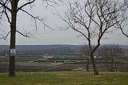 Fattoria di alberi di Natale nel nord-ovest della township