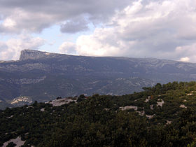 Illustrasjonsbilde av artikkelen Sainte-Baume Forest