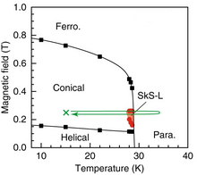 Magnetic phase diagram of MnSi. At low temperatures, with increasing magnetic field, spins in MnSi form helical, conical, skyrmion (SkS) and regular ferromagnetic spatial structures. At high temperatures the spin orientation is random (paramagnetic) MnSi magnetic phase diagram.png