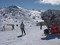 Mount Blue Cow, un des quatre domaines skiable de Perisher