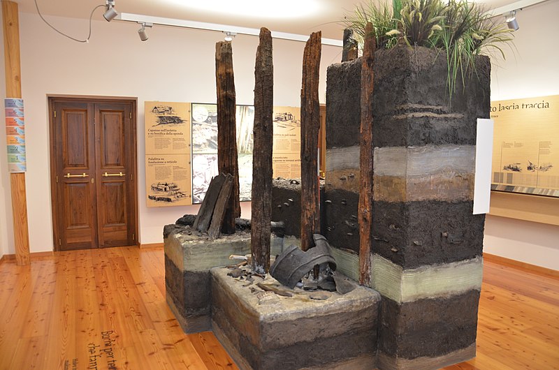 File:Museo delle palafitte di Fiavé (calotta stratigrafica).jpg
