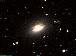 NGC 2907 DSS.jpg