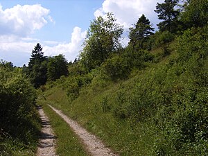 Schopflen-Rehletal nature reserve