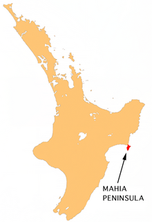 Karte von Mahia Peninsula