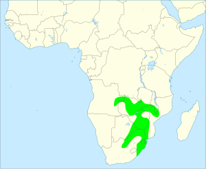 Natal spurfowl distribution map.svg