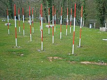 A grass field with 16 white-red-white-red poles spaced in diagonal lines, several plus-shaped stone blocks behind them, and a road is visible behind trees in the background