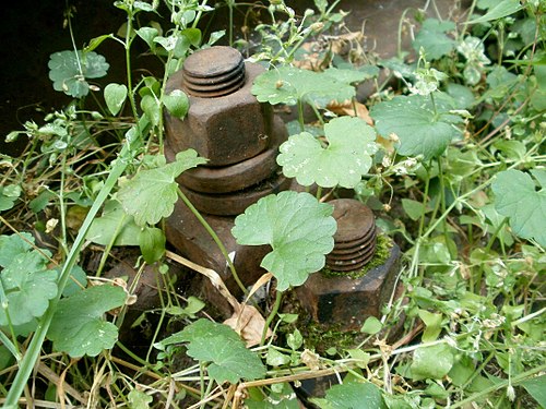 Near the abandoned track