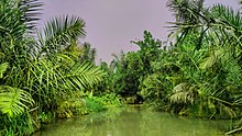 A side view of the Ngaji River in Gadaka Ngaji River.jpg